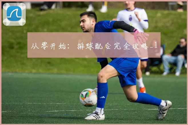 从零开始：排球配合完全攻略_1