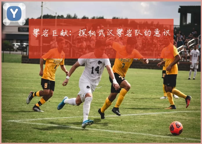 攀岩巨献：探秘武汉攀岩队的意识