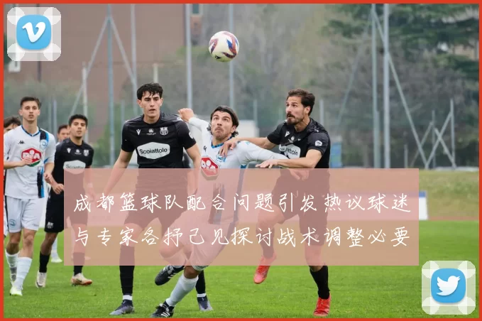 成都篮球队配合问题引发热议球迷与专家各抒己见探讨战术调整必要性