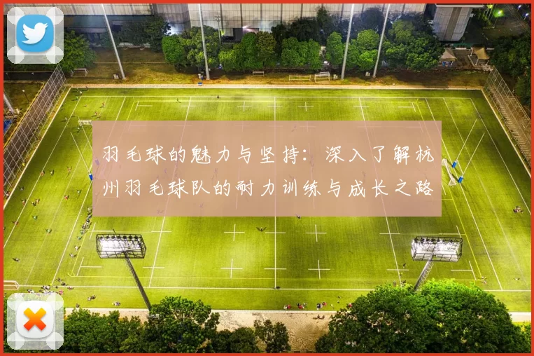 羽毛球的魅力与坚持：深入了解杭州羽毛球队的耐力训练与成长之路