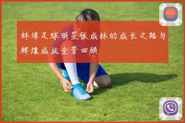 蚌埠足球明星张成林的成长之路与辉煌成就全景回顾
