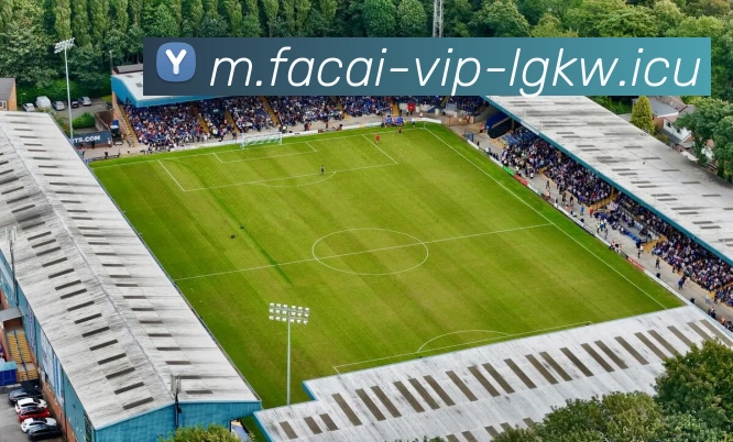 MK体育APP 封面图